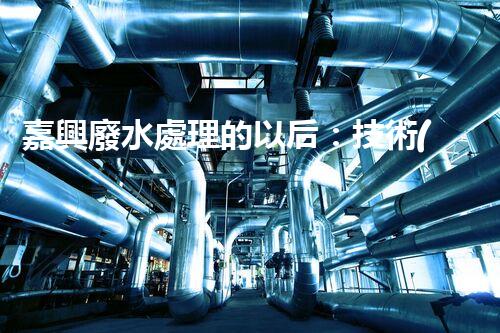 嘉興廢水處理的以后：技術(shù)創(chuàng)新與生態(tài)可持續(xù)？